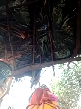 H seema online show from 02-09-26, 01:53