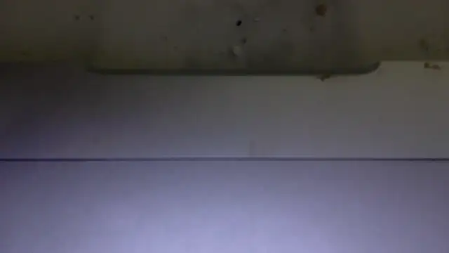 edger4lif3 online show from 11-15-25, 06:59