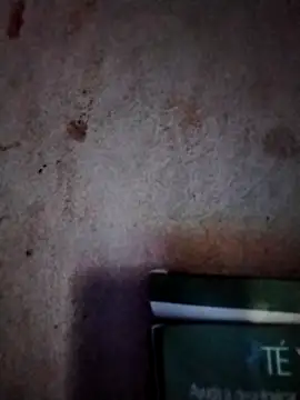 Snapshot of _tetas_92 chatting on 03-07-26, 01:30 tetas 92 online show from 03-07-26, 01:30