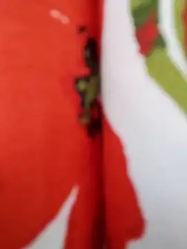  tetas 92 online show from 04-20-26, 03:59