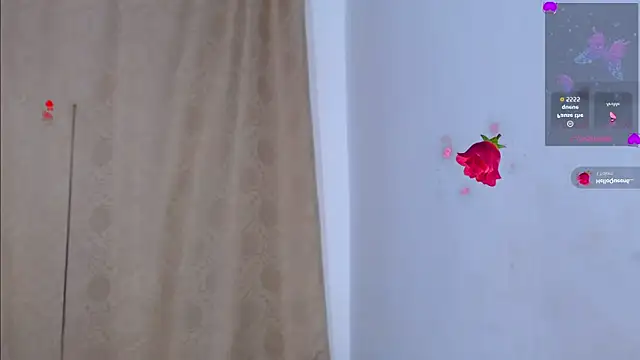 Bicky 24 online show from 04-28-26, 08:19