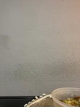 Bella Sumers online show from 04-29-26, 06:25