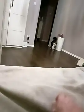 Snapshot of NiceBadgera chatting on 10-10-25, 06:40 NiceBadgera online show from 10-10-25, 06:40