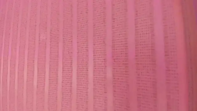 Snapshot of Ambeer_fox_ chatting on 06-12-26, 01:43 Ambeer fox online show from 06-12-26, 01:43