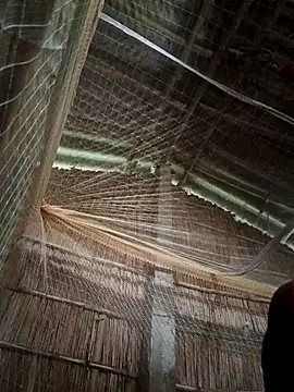 kfocufi online show from 10-28-25, 10:41