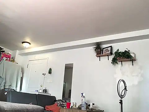 littyleesh1 online show from 01-13-26, 04:01