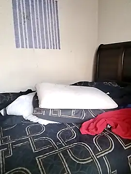 Snapshot of donchico0 chatting on 03-28-26, 05:29 donchico0 online show from 03-28-26, 05:29