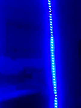 Big Ass Black Cock online show from 10-25-25, 06:54