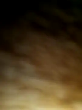 Snapshot of WolfMenSL chatting on 10-08-25, 03:37 WolfMenSL online show from 10-08-25, 03:37