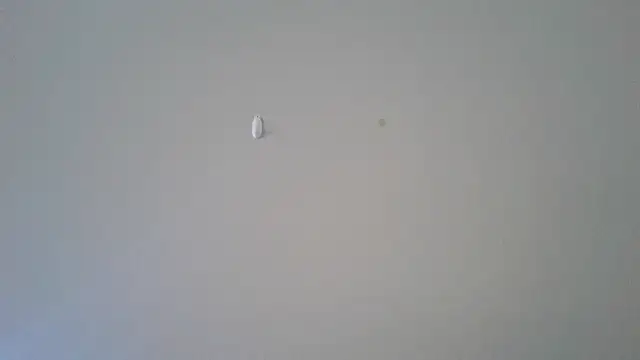 Snapshot of abimusic99 chatting on 02-25-26, 07:45 abimusic99 online show from 02-25-26, 07:45