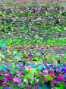 luzmelzinha online show from 05-02-26, 05:34