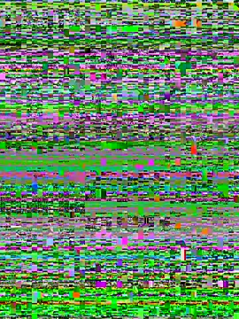 luzmelzinha online show from 05-03-26, 11:22