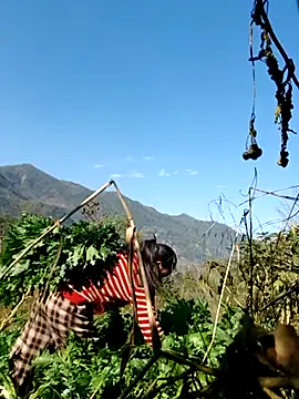 kemtuoi-sex online show from 02-05-26, 08:08