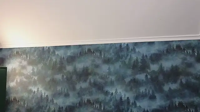 Snapshot of MarkShot_ chatting on 11-11-25, 08:31 MarkShot online show from 11-11-25, 08:31