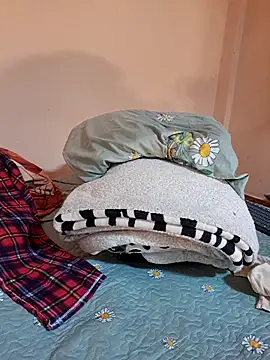 Ansiasex online show from 03-07-26, 04:26