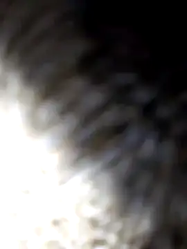 Snapshot of adem63636 chatting on 03-08-26, 02:04 adem63636 online show from 03-08-26, 02:04