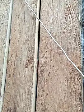 bonnie-00 online show from 04-28-26, 03:44