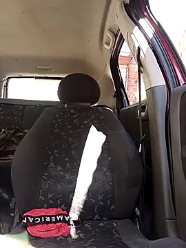 Snapshot of IssuedEcho chatting on 02-28-26, 11:44 IssuedEcho online show from 02-28-26, 11:44