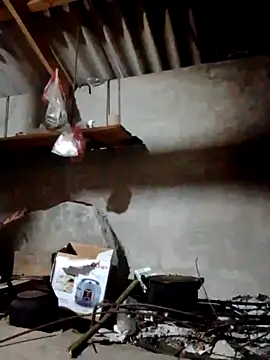 donna-bae online show from 04-12-26, 10:15