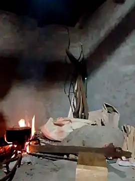 donna-bae online show from 04-16-26, 11:22