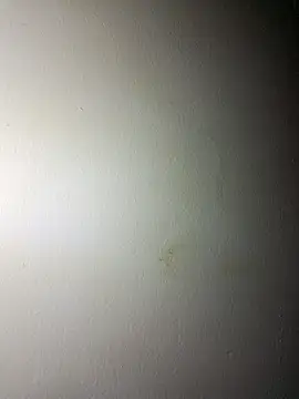 Snapshot of BigD_Mikee chatting on 12-17-25, 04:46 BigD Mikee online show from 12-17-25, 04:46