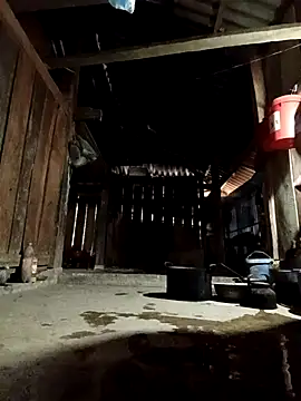 callistra online show from 04-07-26, 11:48