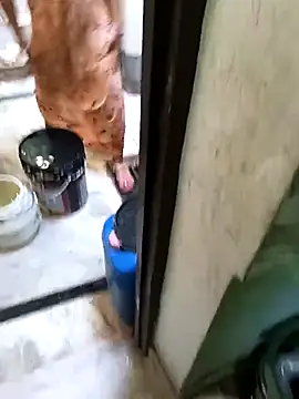 Snapshot of Cute-Charvii chatting on 03-08-26, 02:48 Cute-Charvii online show from 03-08-26, 02:48