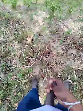 Snapshot of DICKLANKA chatting on 09-23-25, 08:28 DICKLANKA online show from 09-23-25, 08:28