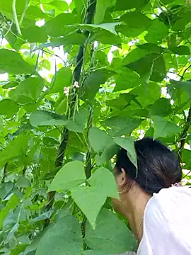 Snapshot of diamond-- chatting on 10-05-25, 12:31 diamond-- online show from 10-05-25, 12:31