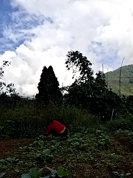 Snapshot of diamond-- chatting on 11-15-25, 01:36 diamond-- online show from 11-15-25, 01:36