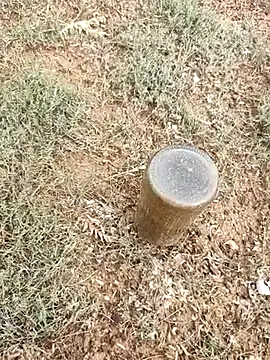 telugumodda4396 online show from 10-06-25, 02:31