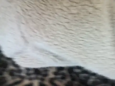 Snapshot of Harukiowo chatting on 09-24-25, 11:57 Harukiowo online show from 09-24-25, 11:57