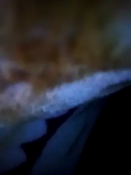 Snapshot of alone_boy802 chatting on 11-05-25, 12:54 alone boy802 online show from 11-05-25, 12:54