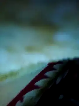 Snapshot of alone_boy802 chatting on 11-13-25, 03:38 alone boy802 online show from 11-13-25, 03:38