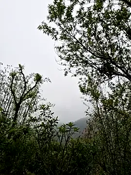 xuxulovezz online show from 04-01-26, 01:50