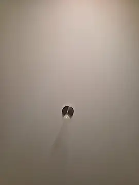 brunettebabexo3 online show from 02-12-26, 05:52