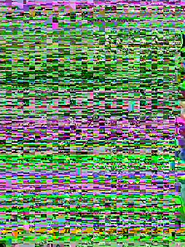 aoyo66 online show from 11-05-25, 12:16