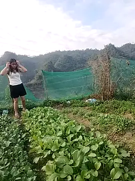 Snapshot of Meomeo-meo chatting on 11-21-25, 08:35 Meomeo-meo online show from 11-21-25, 08:35