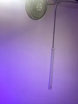 Snapshot of ChloeRosses chatting on 03-06-26, 11:01 ChloeRosses online show from 03-06-26, 11:01