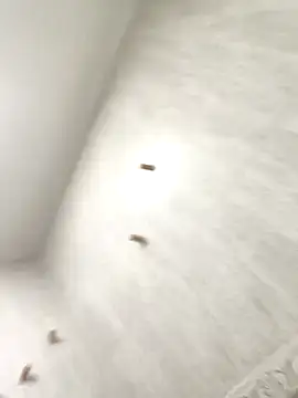 sebas sexo goloso online show from 11-13-25, 06:45