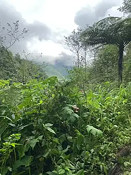 Penny39 online show from 10-09-25, 01:36