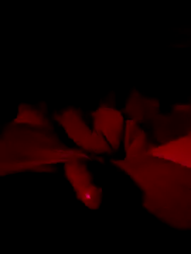 itsJrivera24 online show from 10-26-25, 09:04