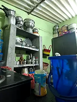 Tamilselviroja- online show from 12-01-25, 02:55