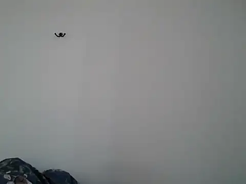 VanBeatPL online show from 10-10-25, 08:57