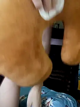 Snapshot of BiCute688 chatting on 11-01-25, 04:31 BiCute688 online show from 11-01-25, 04:31