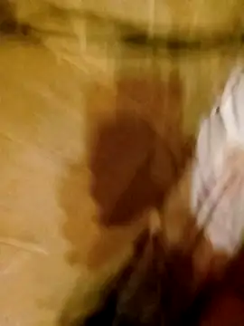 Snapshot of Apeesynka55211 chatting on 03-11-26, 08:59 Apeesynka55211 online show from 03-11-26, 08:59