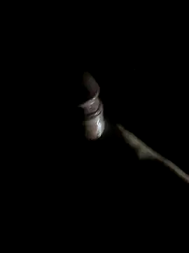 Snapshot of -bunny06 chatting on 10-10-25, 09:52 -bunny06 online show from 10-10-25, 09:52