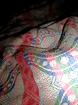 jerry 03467 online show from 03-19-26, 07:18