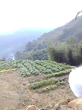 Bum 538 online show from 11-23-25, 12:21