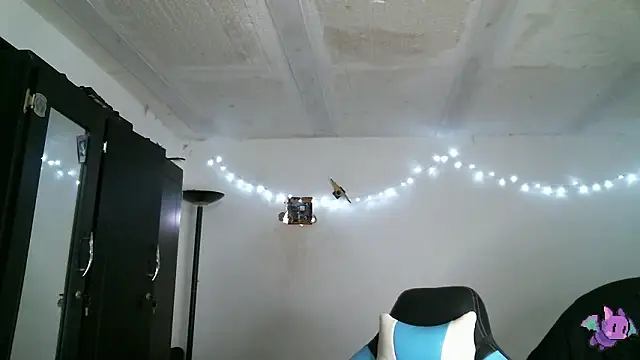 Dickie Dicking online show from 03-17-26, 07:28